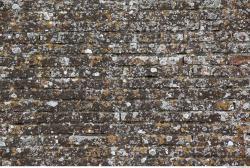 Photo of Mixed Textures